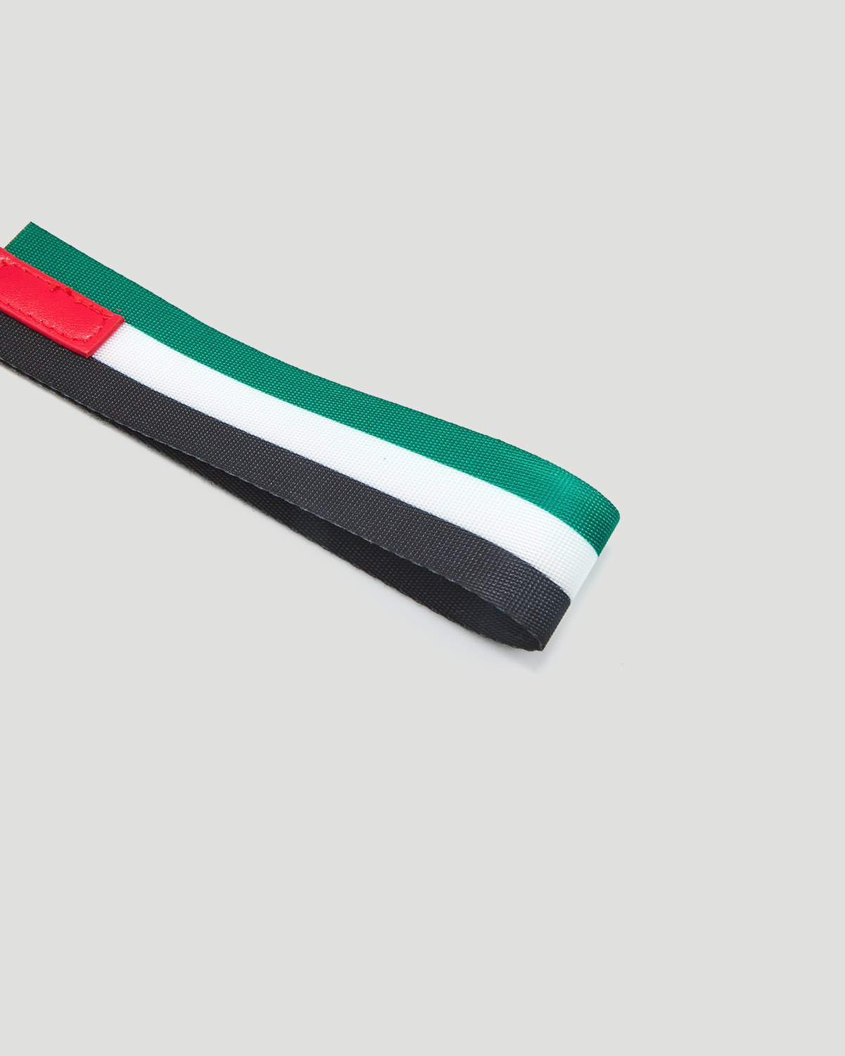 Keychain - High Risk Red image number 2